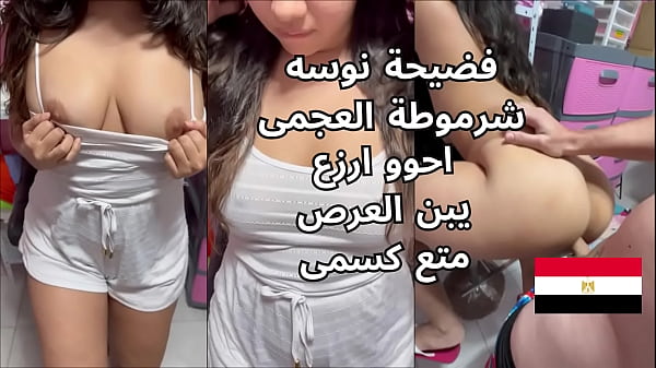 اوسخ سكس مصرى فضيحة نوسه شرموطة العجمى مع سواق التونايه احو يا عرص كسم زبرك نيك كسمى عاوزه اشخر