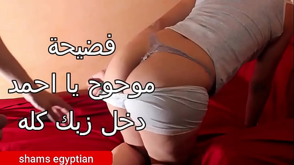 فضيحة مدام شمس مطلقة من البحيره مع جارها احلى كس مصرى مربرب نيك اوى انا حيحانة